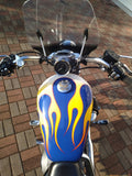 2004 Harley-Davidson Sportster Custom