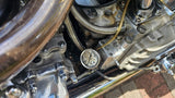 Harley-Davidson Panhead Chopper