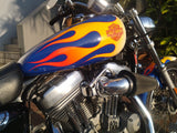 2004 Harley-Davidson Sportster Custom