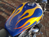 2004 Harley-Davidson Sportster Custom