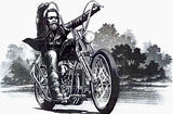 Harley-Davidson Panhead Chopper