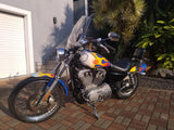 2004 Harley-Davidson Sportster Custom