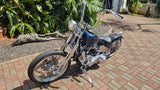 Harley-Davidson Panhead Chopper