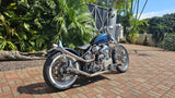 Harley-Davidson Panhead Chopper